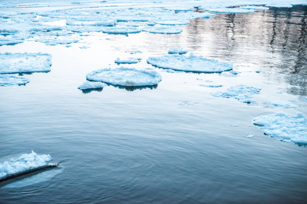 istock ice floes in a river during a spring ice drift 1298013529