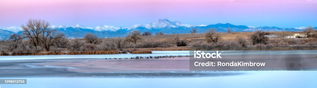 Panorama of Longs Peak from St Vrain State Park Colorado A very cold winter morning as the geese huddle together in the pond in St Vrain State Park with Longs Peak and Mt Meeker as the backdrop Colorado Stock Photo