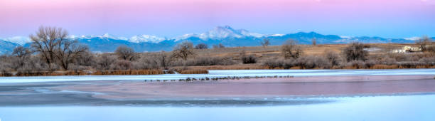 panorama longs peak z st vrain state park colorado - st vrain zdjęcia i obrazy z banku zdjęć