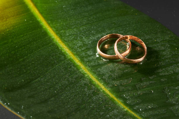 istock Wedding rings on a beautiful wet leaf background 1298014800
