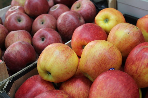 frutas frescas de frutas de maçã na loja de frutas - agriculture autumn apple greengrocers shop - fotografias e filmes do acervo