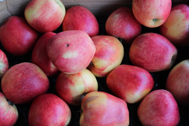frutas frescas de frutas de maçã na loja de frutas - agriculture autumn apple greengrocers shop - fotografias e filmes do acervo