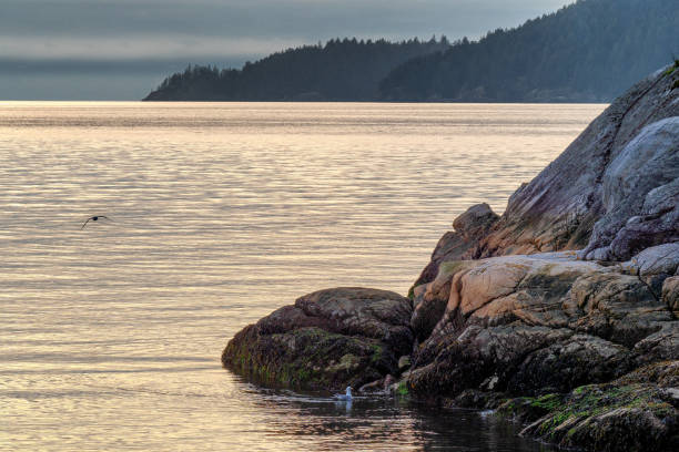 istock Coastal features are seen in late day sunlight 1298019046