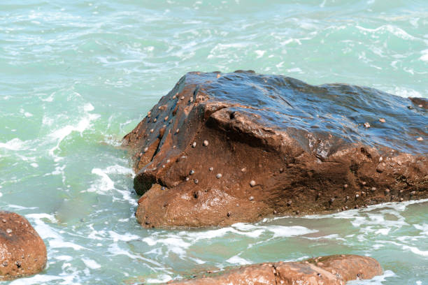 Splashes from the waves bumping against rocky shore. Soft wave crashing huge stone at bay. Sea wave breaks on beach rocks landscape. Sea waves crash and splash on rocks. Beach rock sea wave breaking