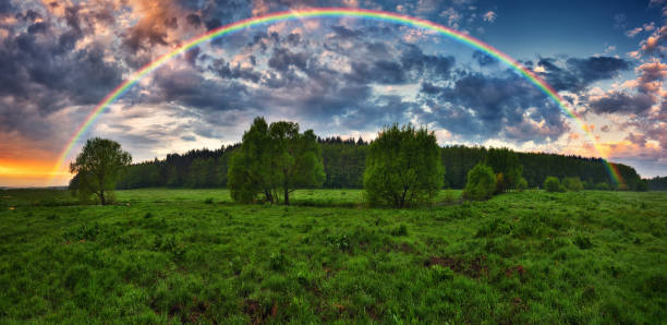 istock Landscape with a Rainbow on the River in Spring. colorful morning 1298021495
