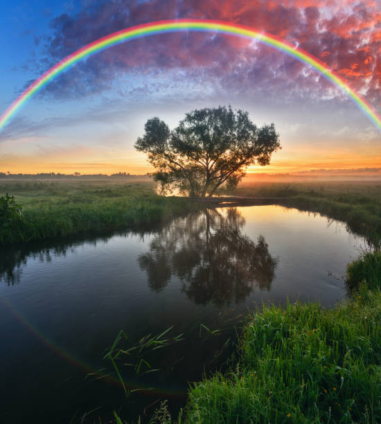 istock Landscape with a Rainbow on the River in Spring. colorful morning 1298021591