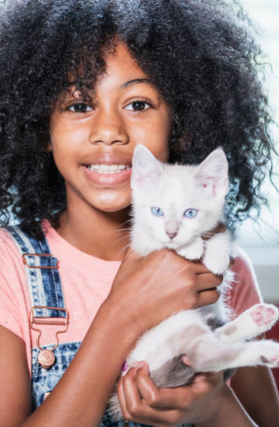 istock African-American girl holding kitten 1298022523