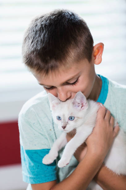 istock Boy holding white kitten with blue eyes 1298022554