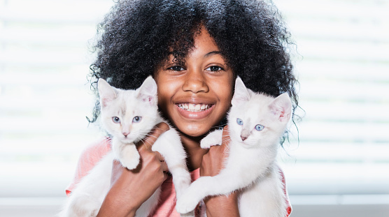 A 9 year old African-American girl holding two white cats with blue eyes. She is smiling at the camera.