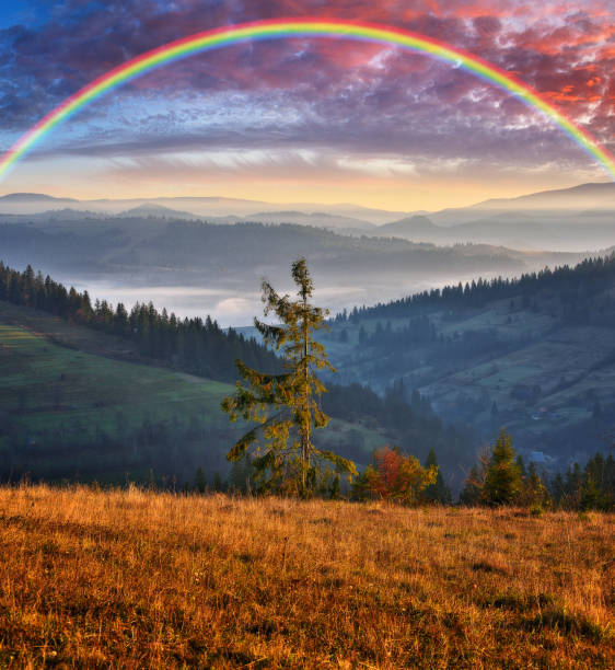 istock Rainbow over the Mountains. autumn morning in the Carpathians 1298022626