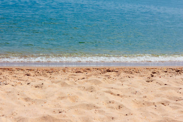 istock Sandy beach and calm sea 1298024322