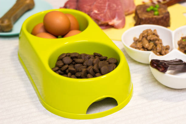 istock Raw dog food ingredients 1298024598
