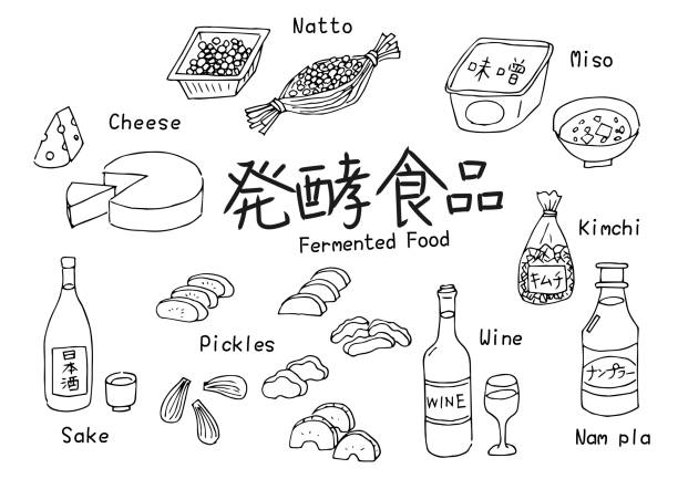 Fermented Food Illustration Set Fermented Food Illustration Set natto stock illustrations