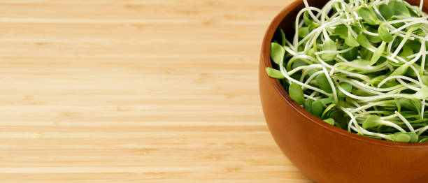 istock Sunflower seedling in wood cup 1298038963