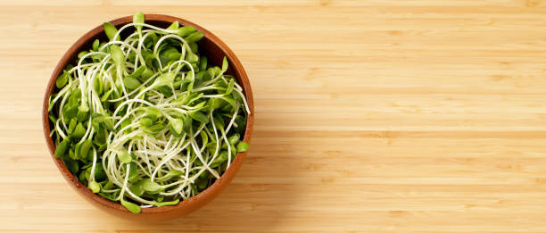 istock Sunflower seedling in wood cup 1298039003