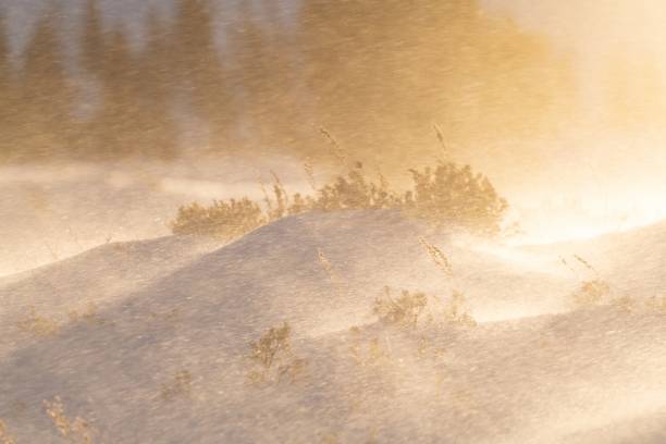 Blowing snow close up