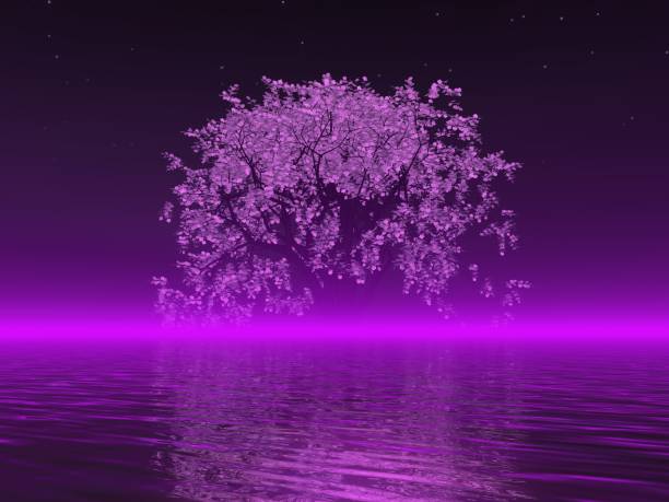istock Fantastic landscape of Lake and Cherry Blossoms 1298043977