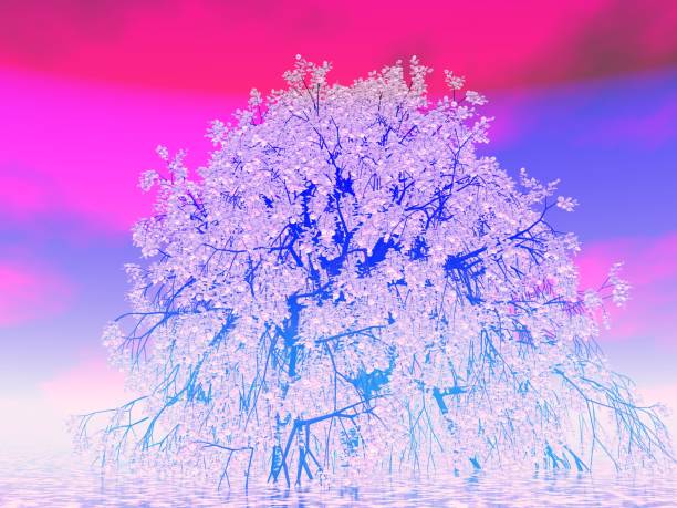 istock Fantastic landscape of Lake and Cherry Blossoms 1298044002