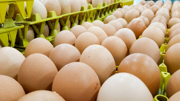 istock a Bunch of Eggs in the Market 1298044957
