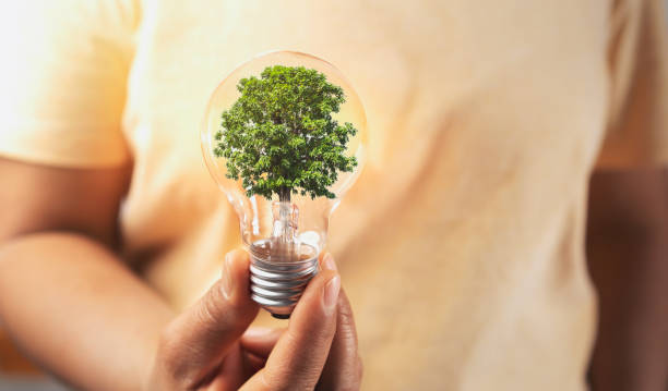 istock hand holding lightbulb with tree insite. concept eco energy inovation 1298048806