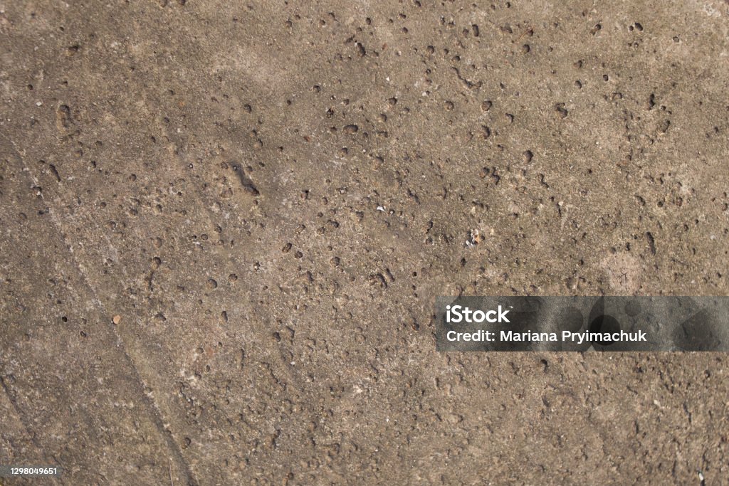 Shell Stone Texture Shell Rock Limestone Texture Background Stock Photo - Download Image ...