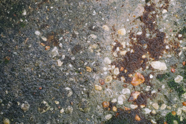 istock Texture or closeup of rough dirt on wall background 1298054310