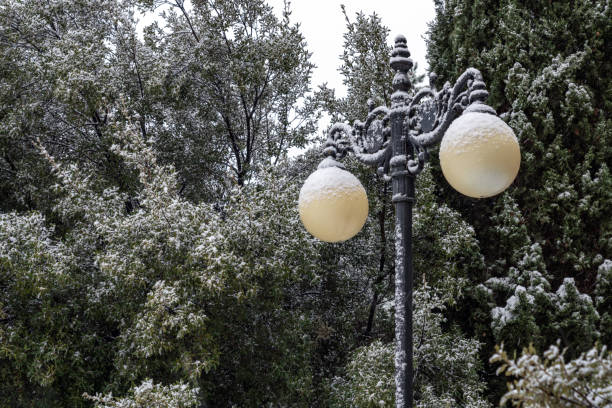 Free Stock Photo of Street lamp with snow against ivy background ...