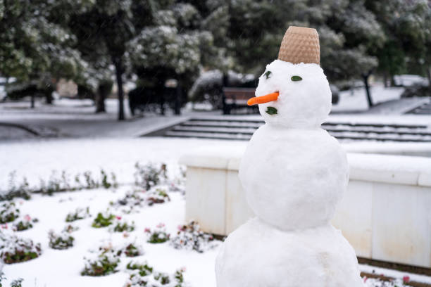 The Perfect Snowman visits Winter Wonderland