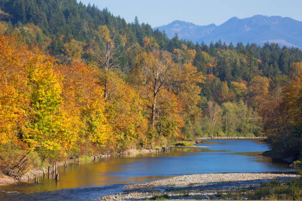 ワシントン州のスノコルミー川の美しい紅葉 - landscape usa vibrant color riverbank ストックフォトと画像