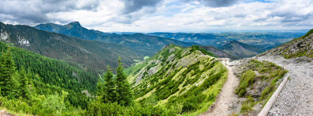 bergpanorama, wanderweg und tal in tatra, polen, boczan, jaworzynka-tal, polen - mountain range carpathian mountain range mountain ridge stock-fotos und bilder