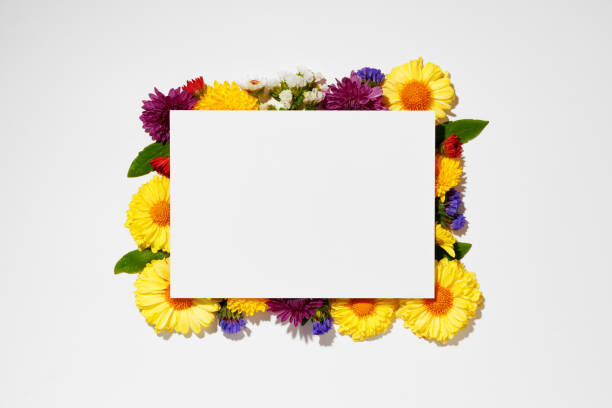istock Blank paper with copy space and flower buds 1298062923