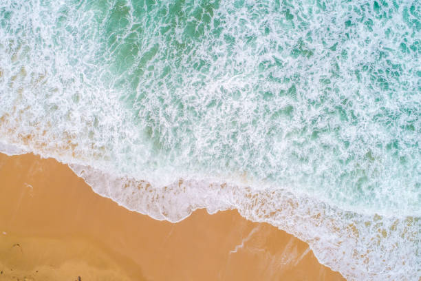 istock Beautiful sea wave white sand beach aerial view big serve wave 1298063022
