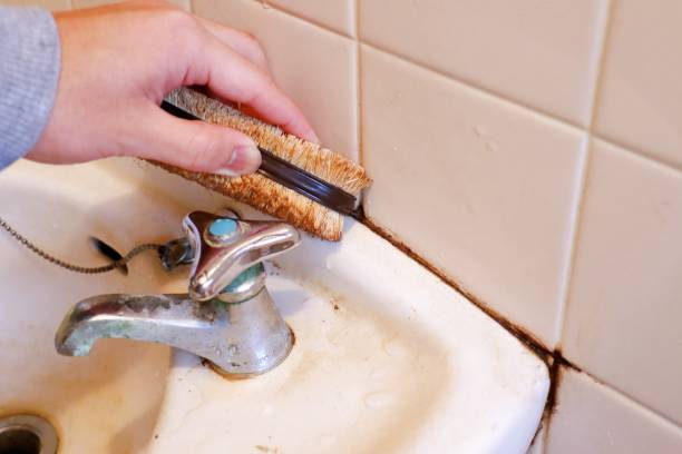 istock Black mold in the gap between the washbasin and the wall 1298066384
