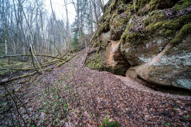 istock empty river bed in early spring with muddy water and wet green foliage 1298069033