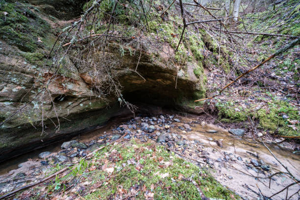 istock empty river bed in early spring with muddy water and wet green foliage 1298069037