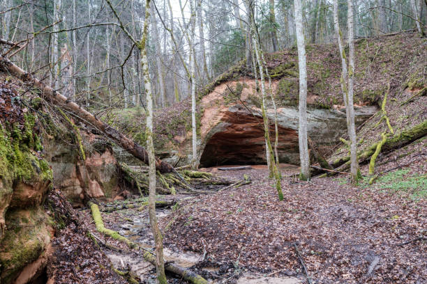istock empty river bed in early spring with muddy water and wet green foliage 1298069062
