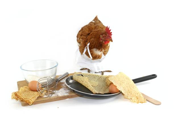 istock chiken cooking pancakes funny 1298072525