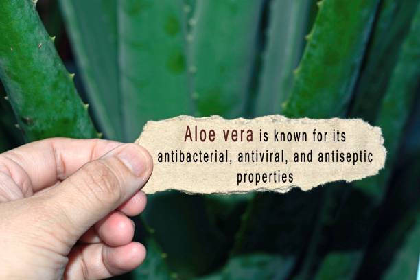 istock Text Written On Hand Holding Torn Paper With Blurred Green Background. Be yourself concept 1298073920