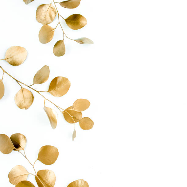 istock Borders of the frame of gold branches, eucalyptus leaves on a white background. flat layout, top view 1298076057