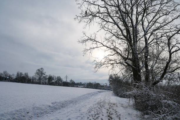 istock Snow covered fields in a frosty winter morning 1298076594