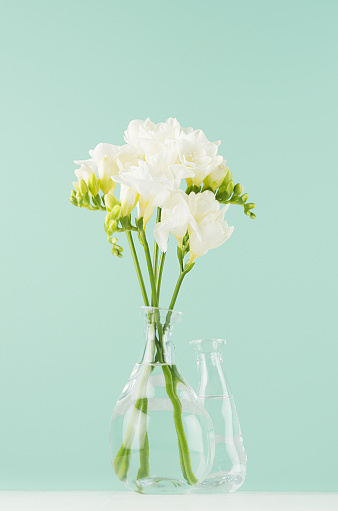 Romantic spring flowers freesia with two transparent glass vases in green mint menthe interior on white wood board, vertical.