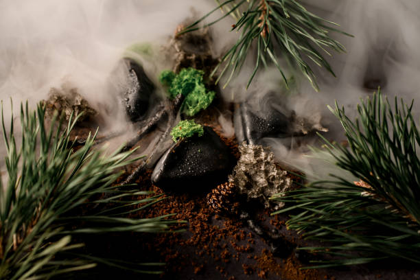 istock view on pine branches, tree sticks and cones and stones in dense fog 1298080686