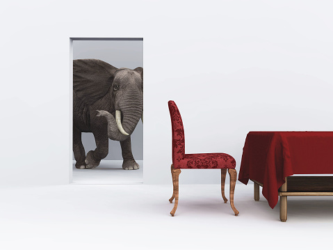 Elephant walking in the house interior . This is a 3d render illustration .