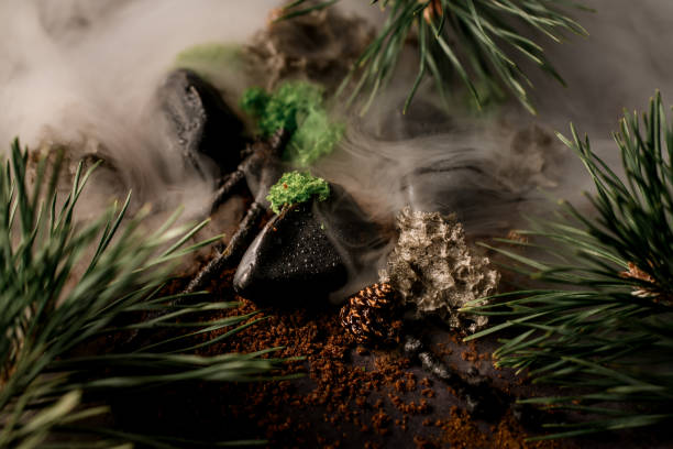 istock Close-up view on pine branches, tree sticks and cones and stones in dense fog 1298081197