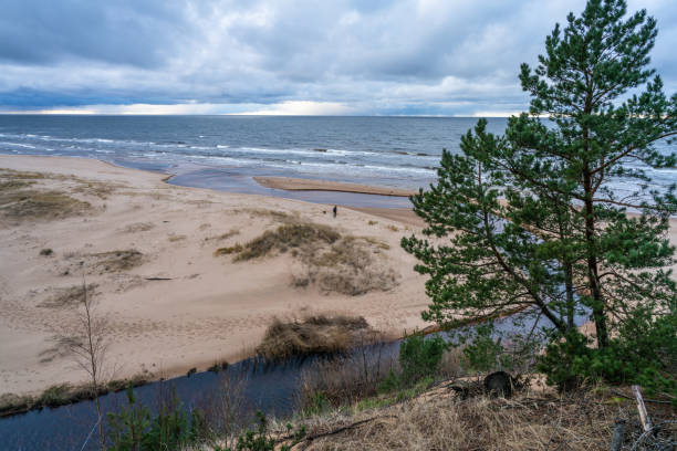 istock Baltic sea coast in winter 1298082419