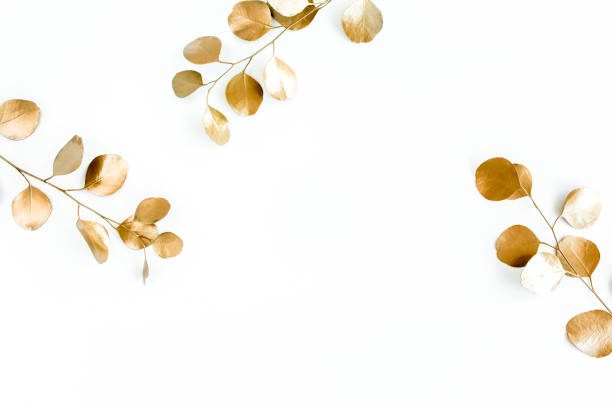 istock Borders of the frame of gold branches, eucalyptus leaves on a white background. flat layout, top view 1298082631