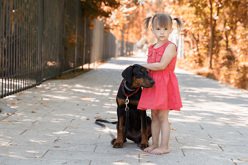 child posing with beautiful doberman puppy outdoors