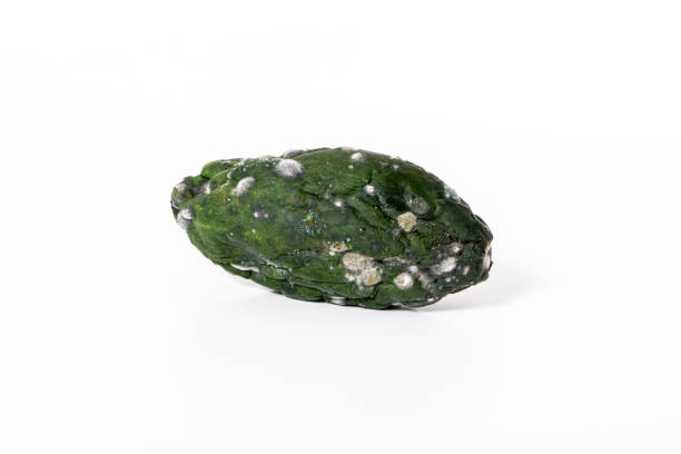 istock Spoiled cucumber covered with mold isolated on white background. 1298085652