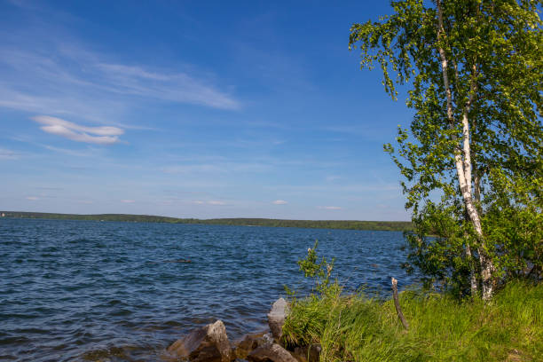 istock Tree on bank of river on a summer day. 1298085778