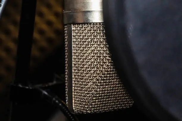 Close-up Pic of peluso p87 in recording studio